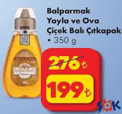 BALPARMAK YAYLA VE OVA ÇİÇEK BALI ÇITKAPAK 350 G fiyat ve kampanya bilgisi